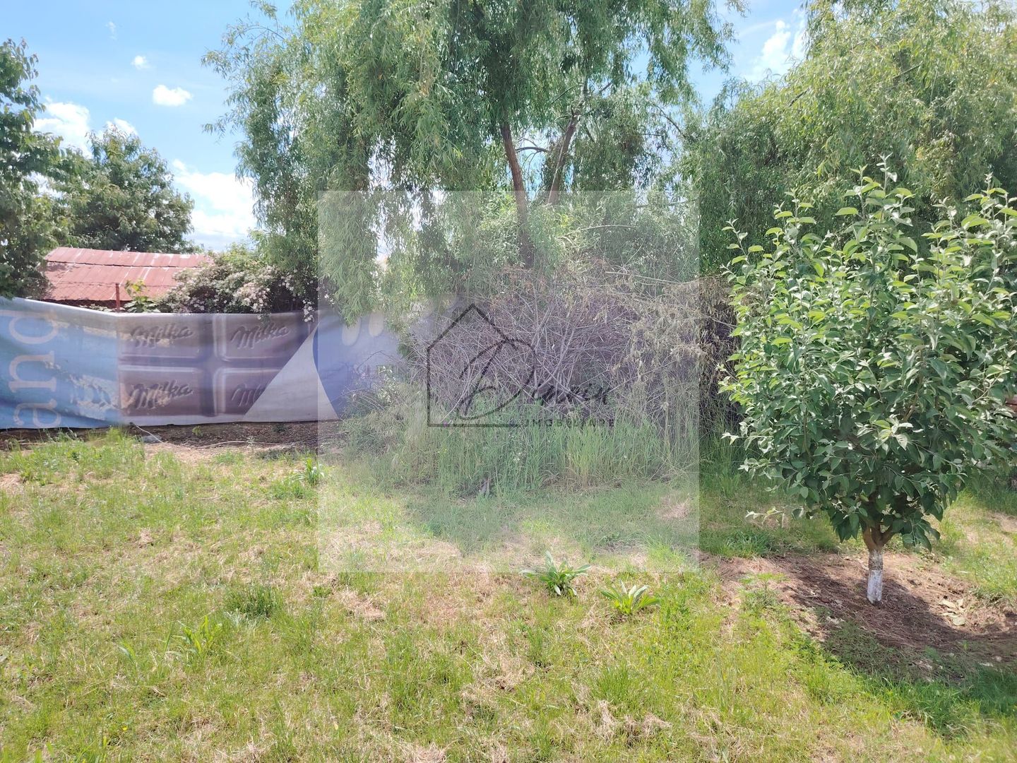 Casa Ciocanesti Cretu - 2 camere cu teren 2539 mp  - Jud. Dambovita - Poză 41