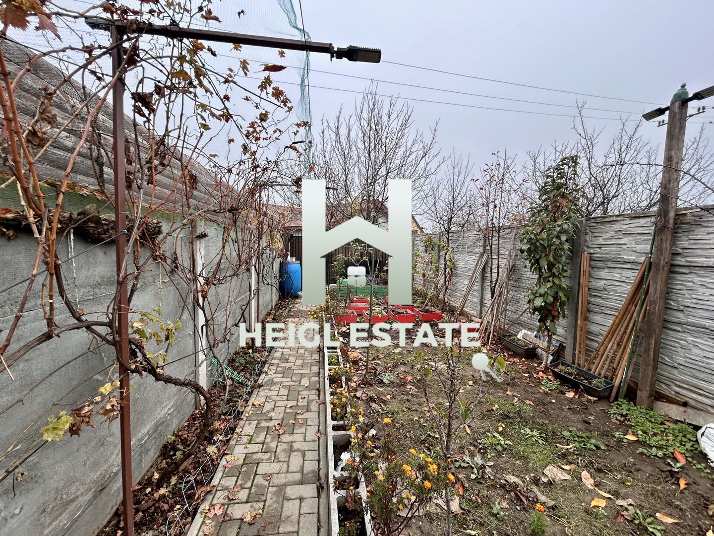 Casa 3 camere gata de mutat Sanandrei - Poză 10