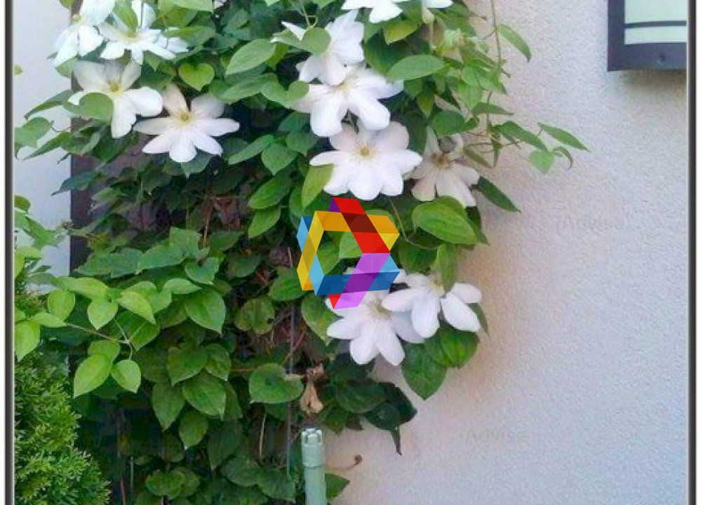 Casa Restaurant cu gradina - 250 mp - Poză 13