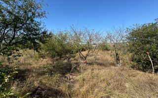 Cabana din lemn+ teren 2000 mp , 105.000 Euro negociabil, zona Metro - Poză 9