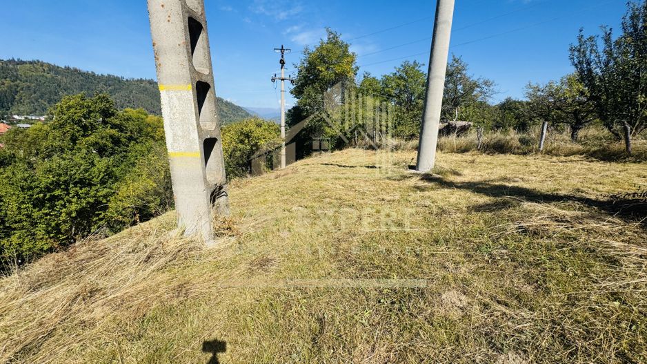 TEREN INTRAVILAN 3234 MP LEREȘTI VOINEȘTI ARGEȘ - Poză 19