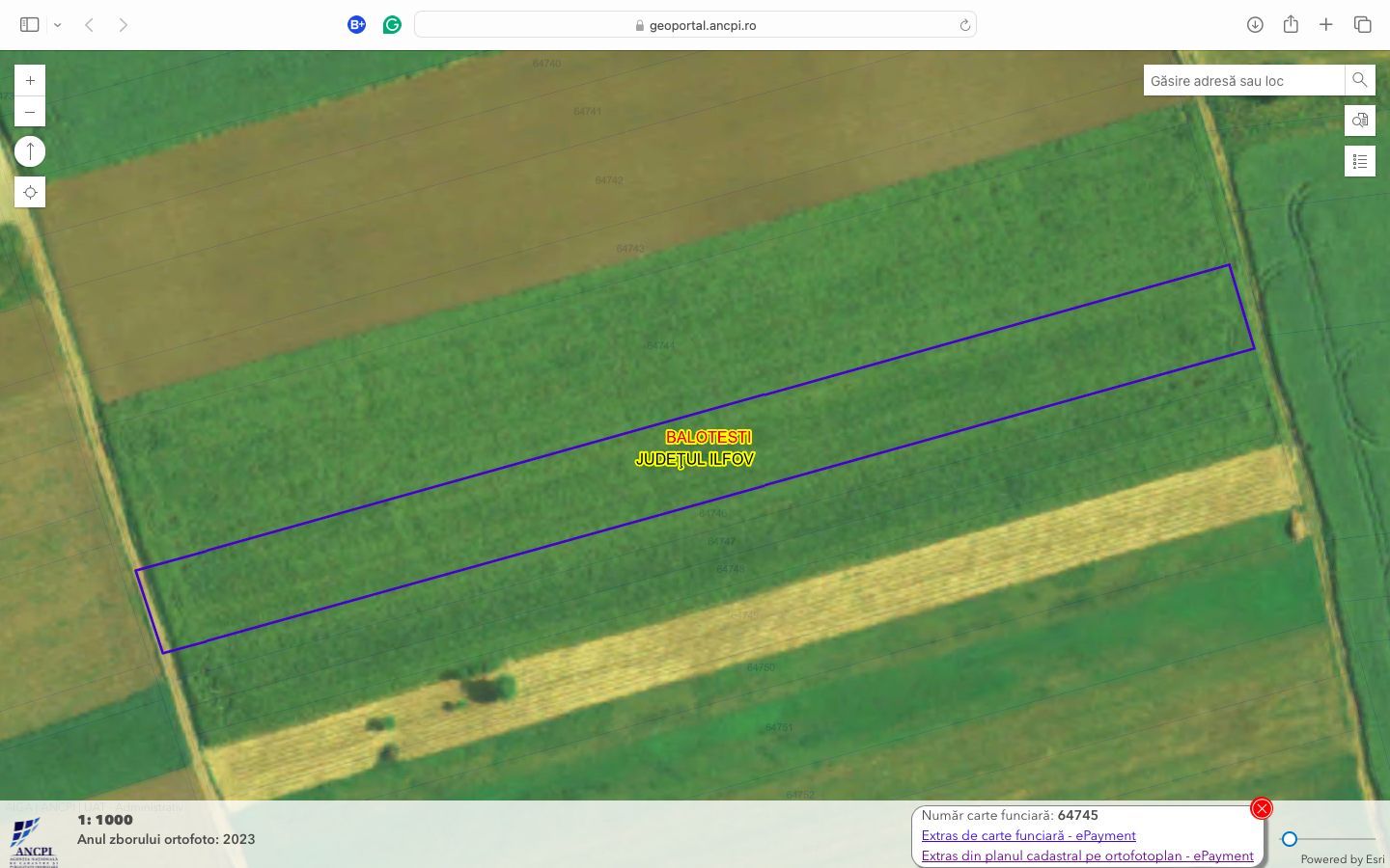 Teren intravilan cu destinatie rezidentiala 7.458 mp Balotesti - Poză 8