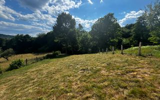 TEREN INTRAVILAN,  SUPRAFAȚA 3446 MP, BUGHEA DE SUS, ARGES - Poză 17