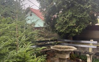 De inchiriat vila cu priveliste spectaculoasa - ideal spatiu comercial - Poză 8