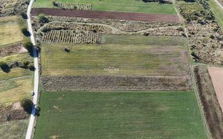 NECTORA IMOB-Teren Saldabagiu de Munte, aproape de Lac Paleu, 2880mp - Poză 11