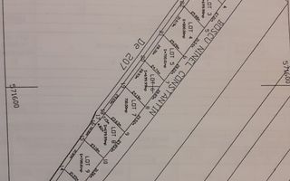 Teren intravilan in comuna Domnesti - sat Teghes - Poză 10