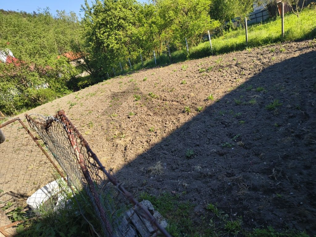 Casă de vânzare în Porumbeni – liniște, natură și confort, la doar ~20 minute de Târgu Mureș - Poză 4