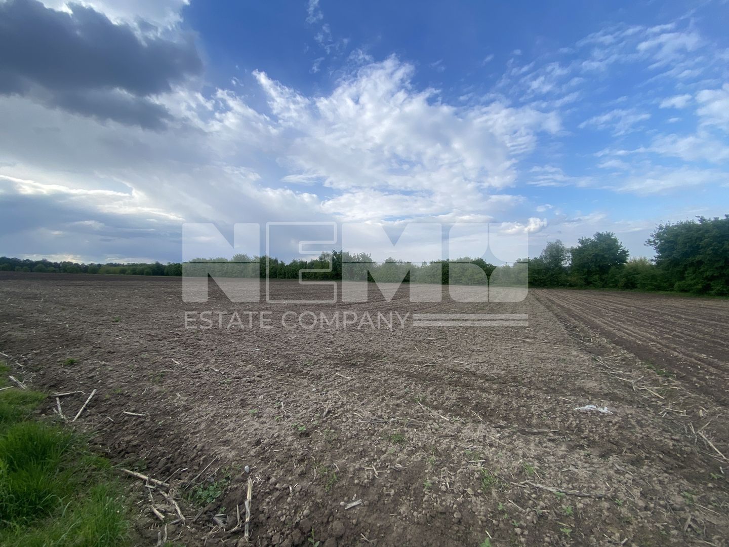 Teren Extravilan | 50 Ari | Horodnic De Jos - Poză 1