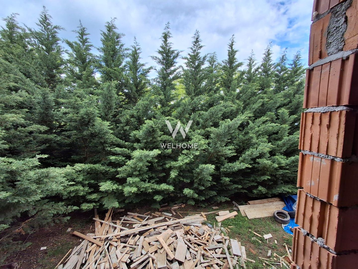 Apartament 3 camere – Predare la cheie  Sibiu, Cristian - Poză 3