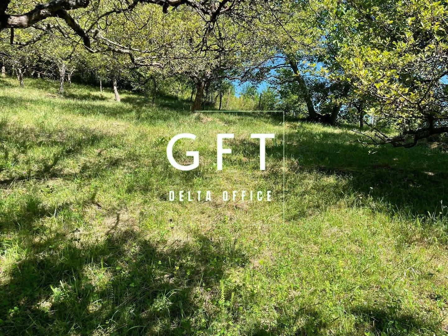 Teren intravilan 650- 669 mp de vânzare – Strada Dâmbului Bistrita - Poză 2