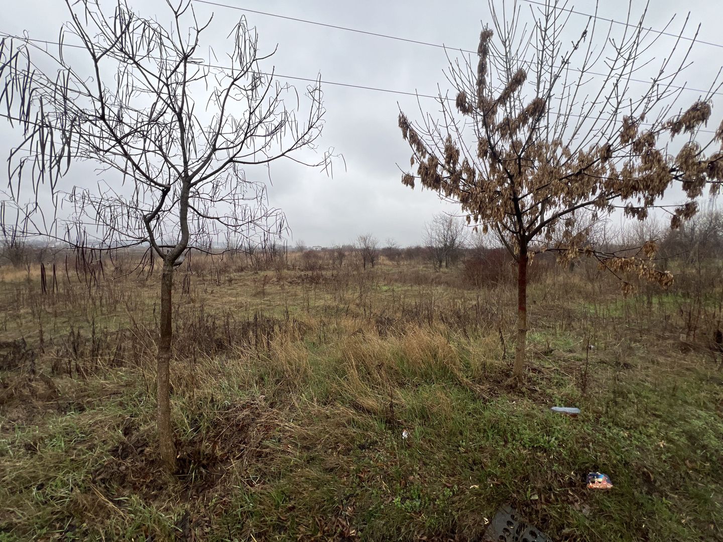 Teren la DN7 - ideal investitie (Benzinarie, spalatorie, hala) - Poză 10