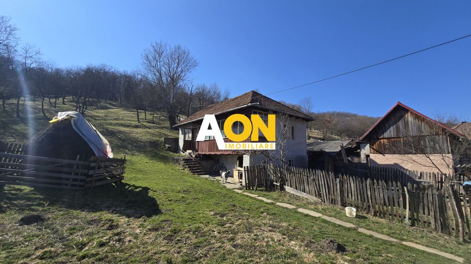 Casa de Vacanta 2 Camere, Strada Morilor Zlatna - Poză 1