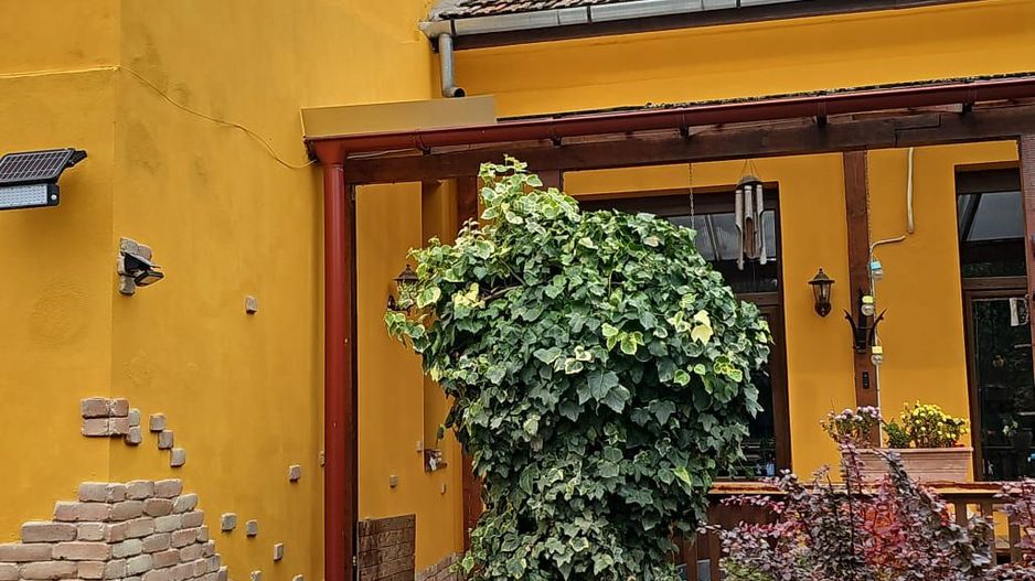 IMOBIL CU GRADINA PROPRIE - Poză 9