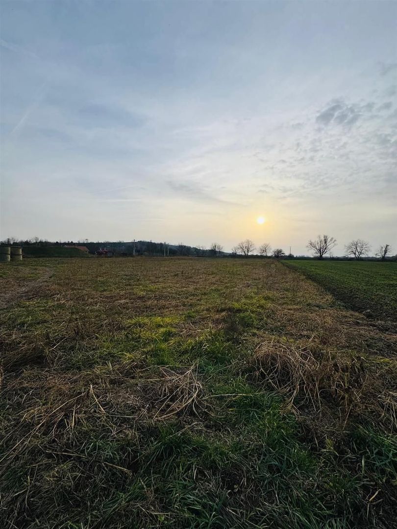 Teren intravilan 7620 mp la intrare in Diosig - Poză 2