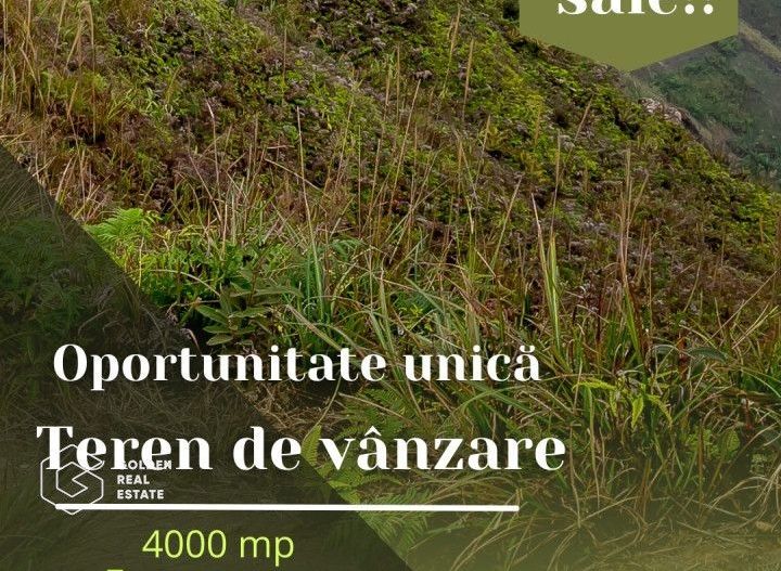 Oportunitate deosebita! Teren 4000 mp, intravilan, Sanpaul - Poză 1