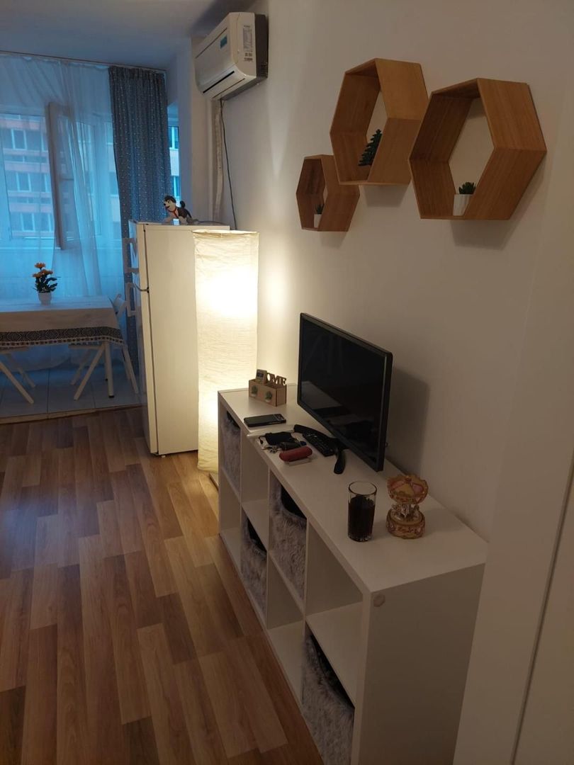 Garsoniera zona Costin Georgian - Lucretiu Patrascanu - Poză 9