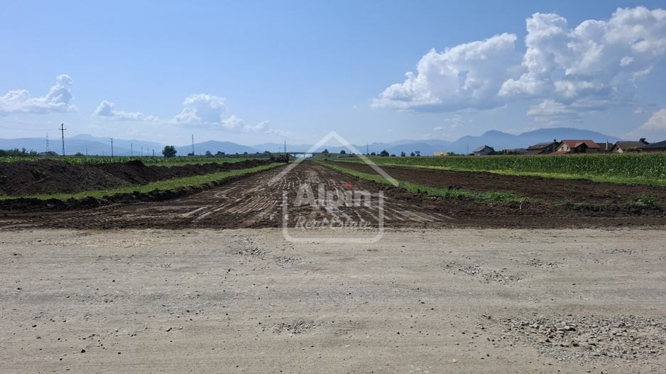 Terenuri Intravilane  Harman - Poză 19