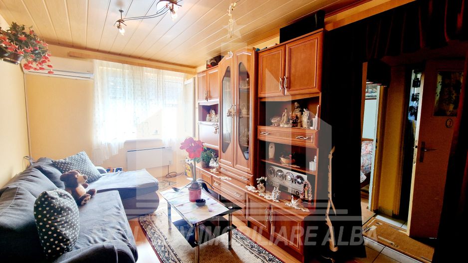 Apartament 2 camere in Cetate - Poză 3
