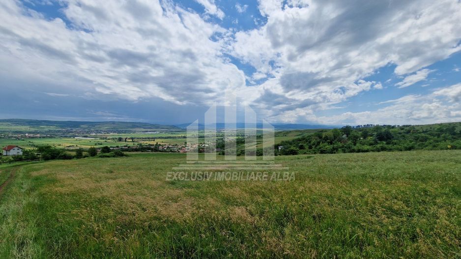 Teren extravilan de vanzare, Paclisa - Poză 8