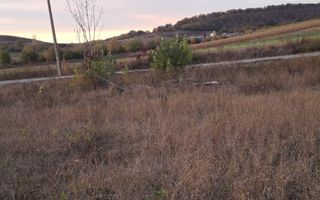 Teren extravilan | 3400 mp  | Hidiselul de Sus | Oradea | Bihor - Poză 2