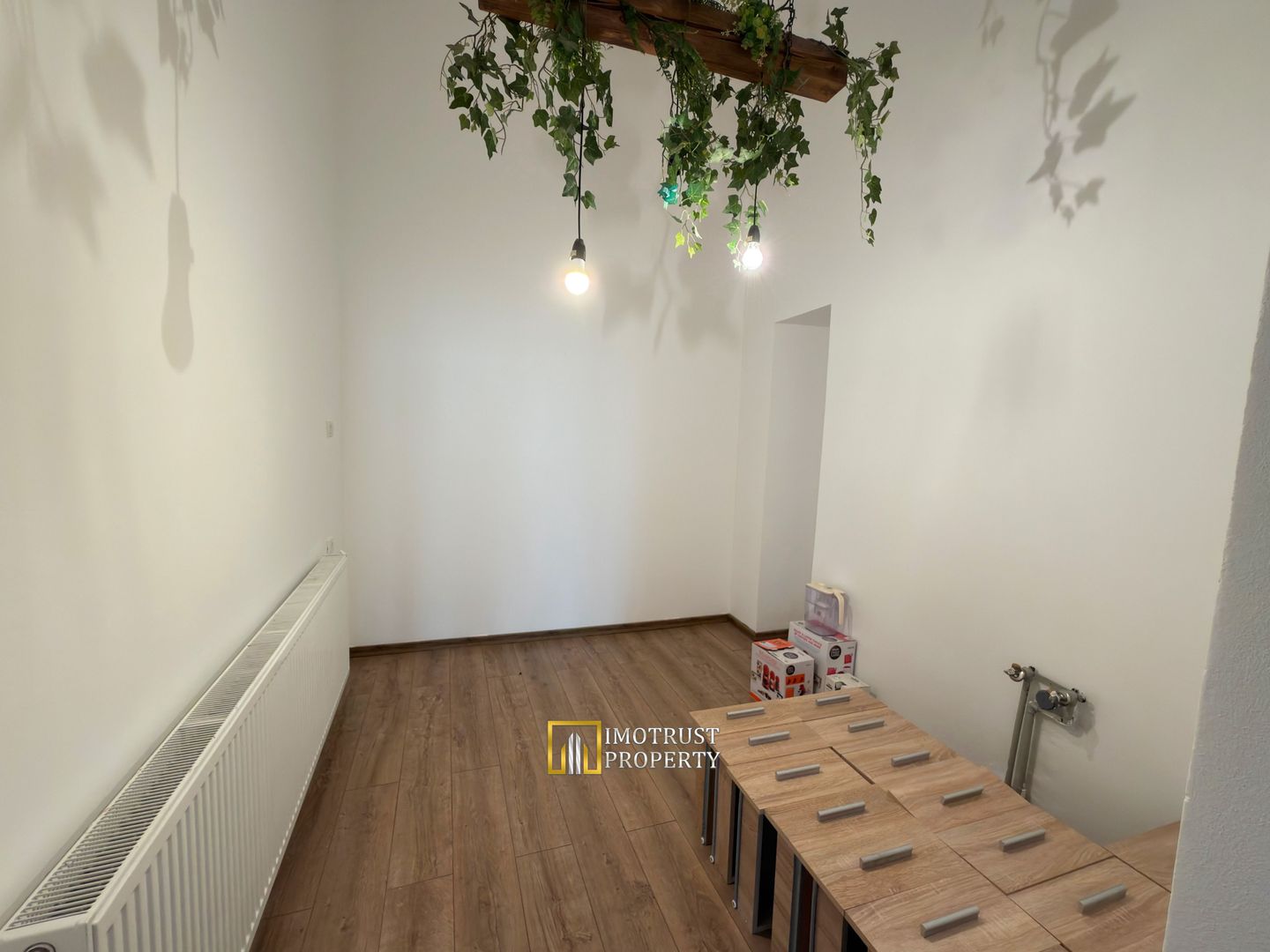 Spațiu Ultracentral de Închiriat – 110 mp – Arad - Poză 5