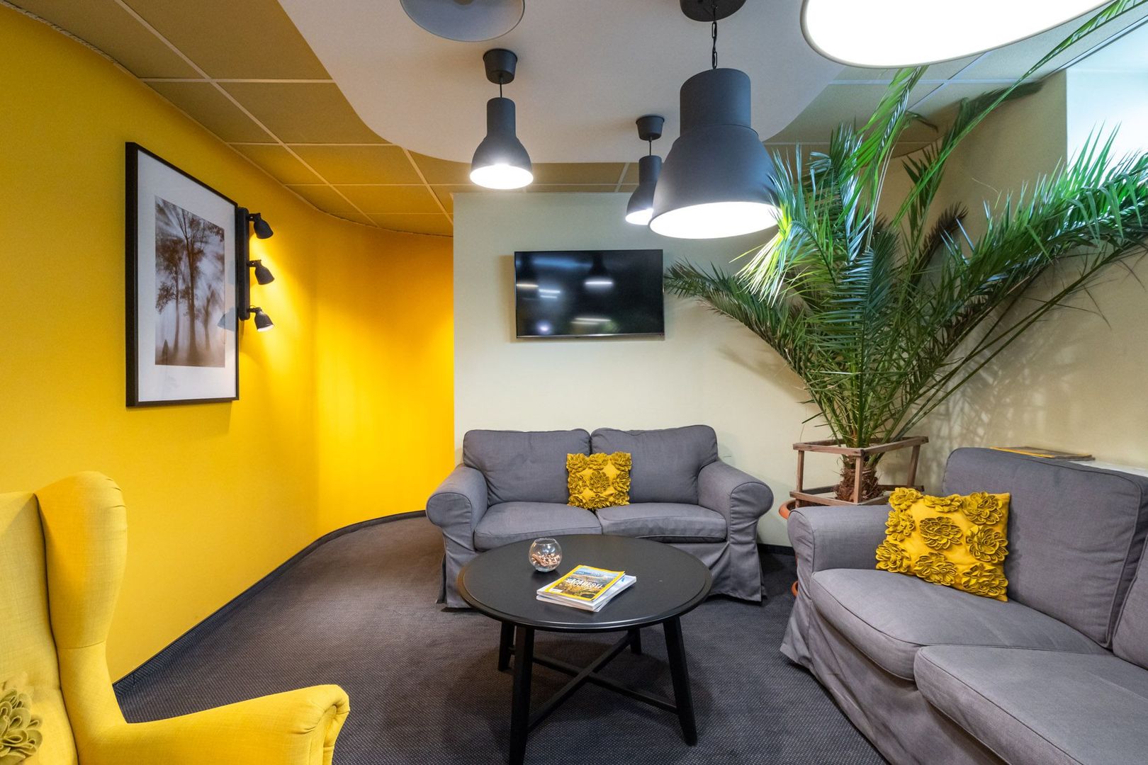 COMISION 0%, Hala productie-depozitare-service, Pantelimon- Bld. Biruintei - DN3 - Poză 20