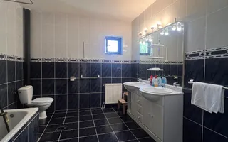 Vilă 816 mp | 20 ari teren | Valea Roșie | Ideală pentru investitie - Poză 39