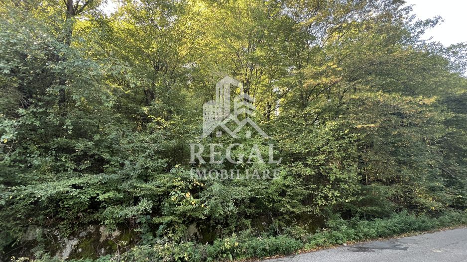 Teren extravilan de vânzare – Lacul Cinciș - Poză 4