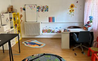 SPATIU COMERCIAL DOMENII, LOC PARCARE, CENTRALA, MOBILAT/UTILAT, CURTE - Poză 13