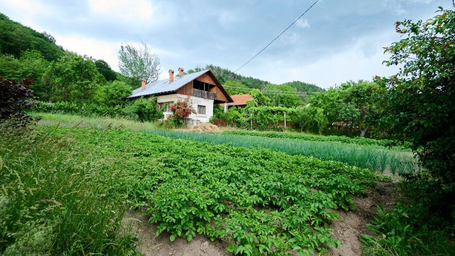 Casa cu teren generos - 4696 mp Apa Sarata - Campulung !! - Poză 1