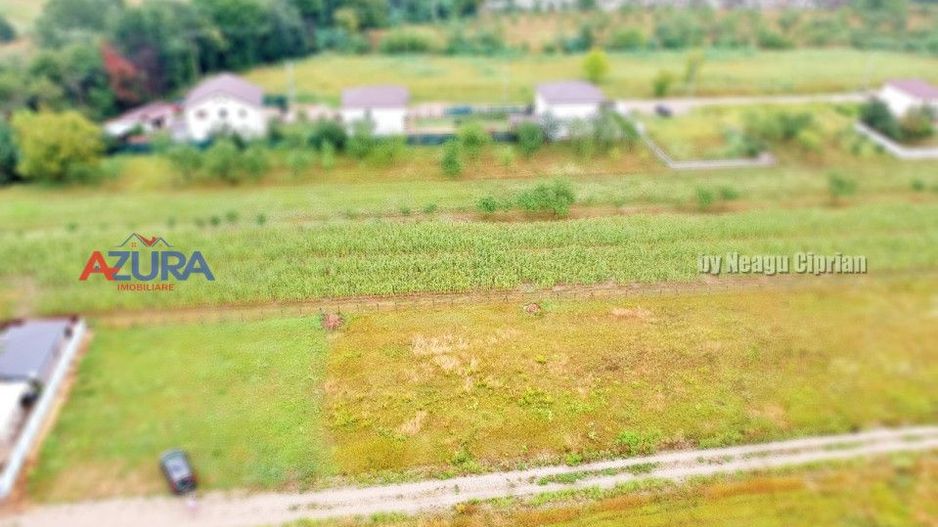 Vanzare Teren Racovita Intravilan - Poză 5