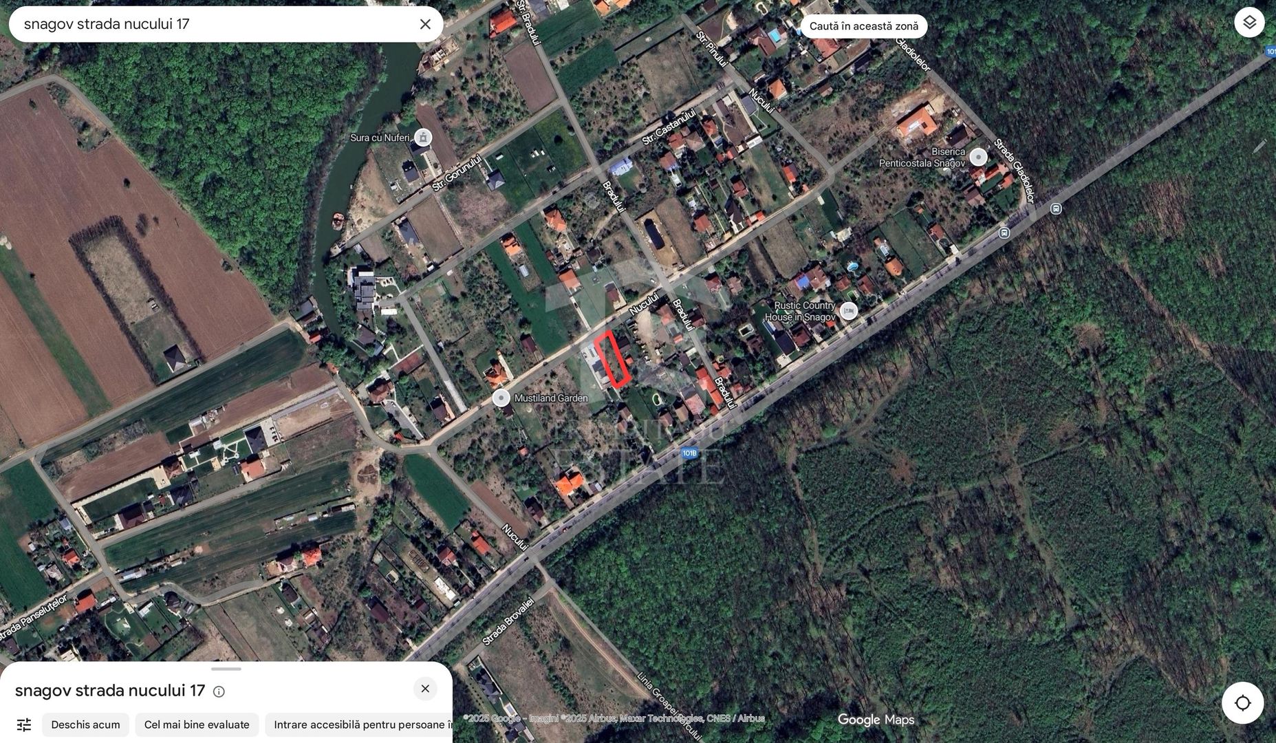 Teren de vanzare ASTORIA Snagov str. Nucului - Poză 5