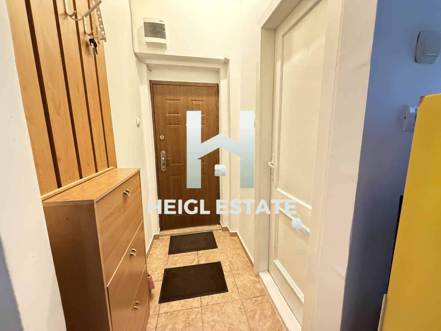 Apartament cu 1 camera in zona Balcescu - Poză 7