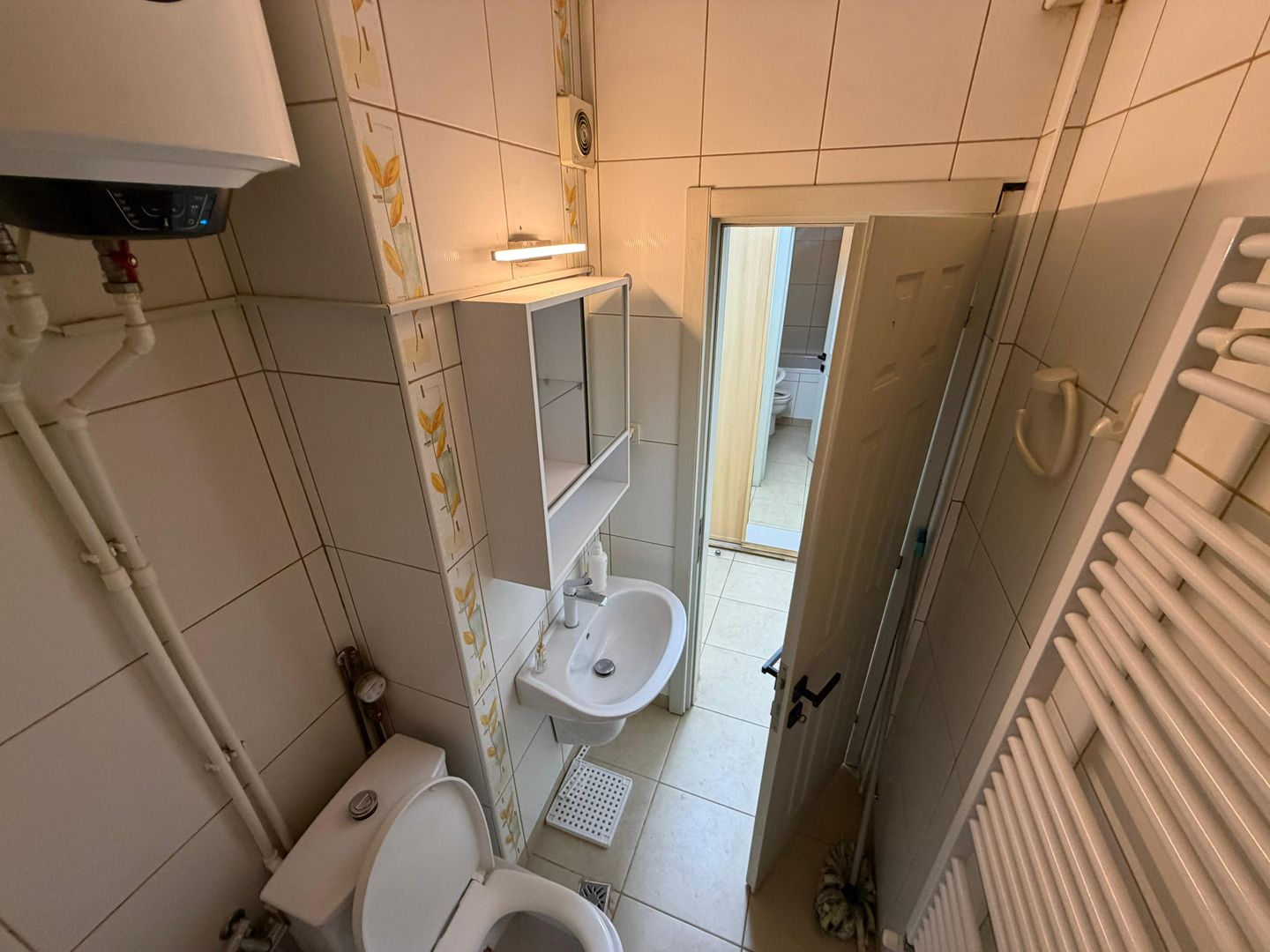 Garsoniera | Liviu Rebreanu | Park Lake | Dristor - Poză 11