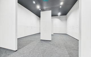 Spațiu comercial/ hală– Bulevardul Ghencea, potențial dezvoltare P+10 - Poză 16