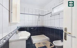 Teren de 8.632 mp + Proprietate Industrială - Voiteg - Județul Timiș - Poză 12