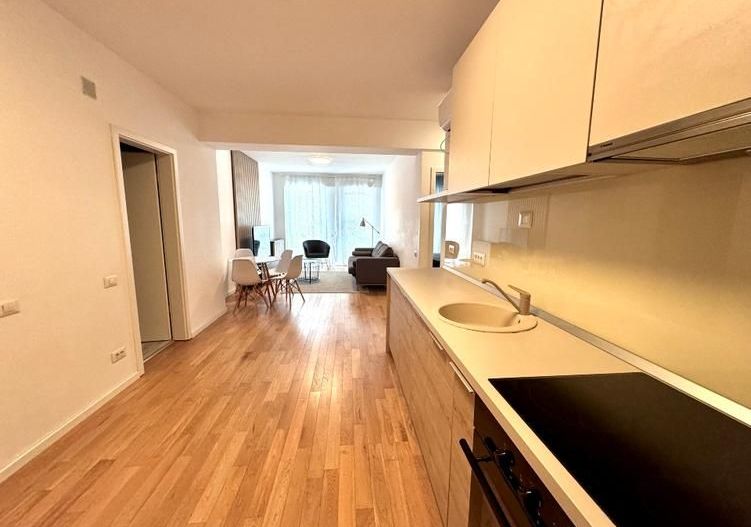 Apartament Vasile Lascar/Eminescu - Poză 4