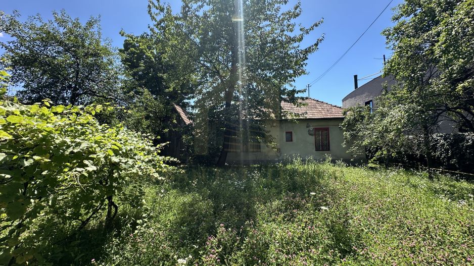 Vanzare teren 2387 mp, front 17,3 ml, Serpuitoare , Gruia - Poză 6