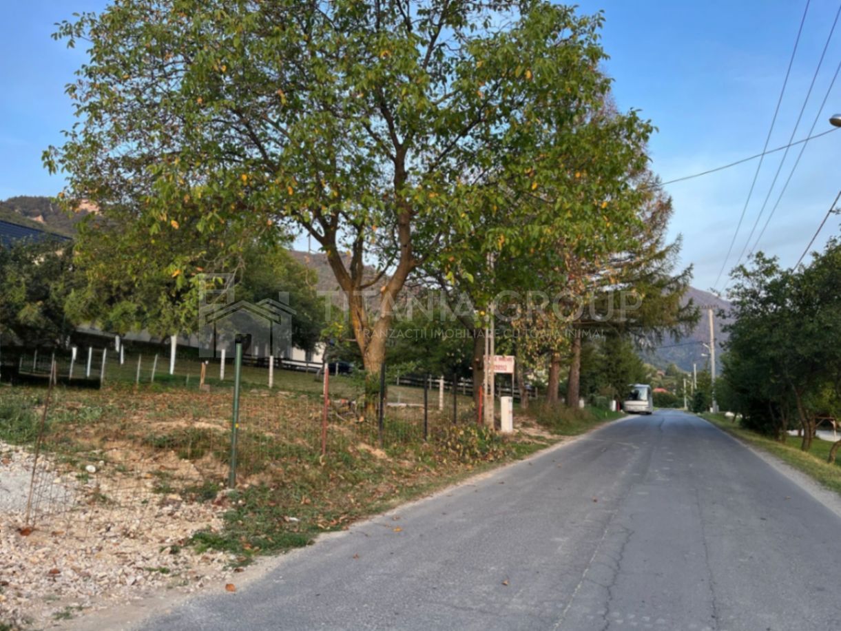Teren cu autorizație , proiect și utilități trase, priveliște Bran Tohanita - Poză 3