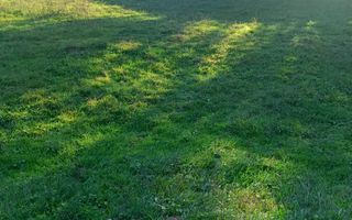 Teren | 1.525 mp  Râul Sadului - Poză 5