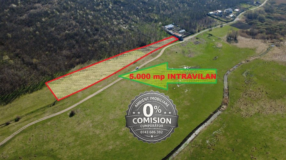 TEREN INTRAVILAN 5.000 mp, VASLUI - zona LAC DELEA; - Poză 3