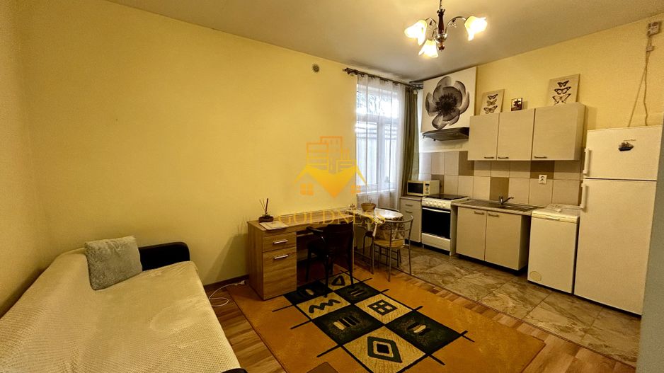 1 camera open space, 2 parcari, curte proprie, FSEGA, Iulius Mall - Poză 2