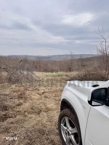 Teren arabil extravilan în Aroneanu, zona Nucarie – 9.012 mp - Poză 2