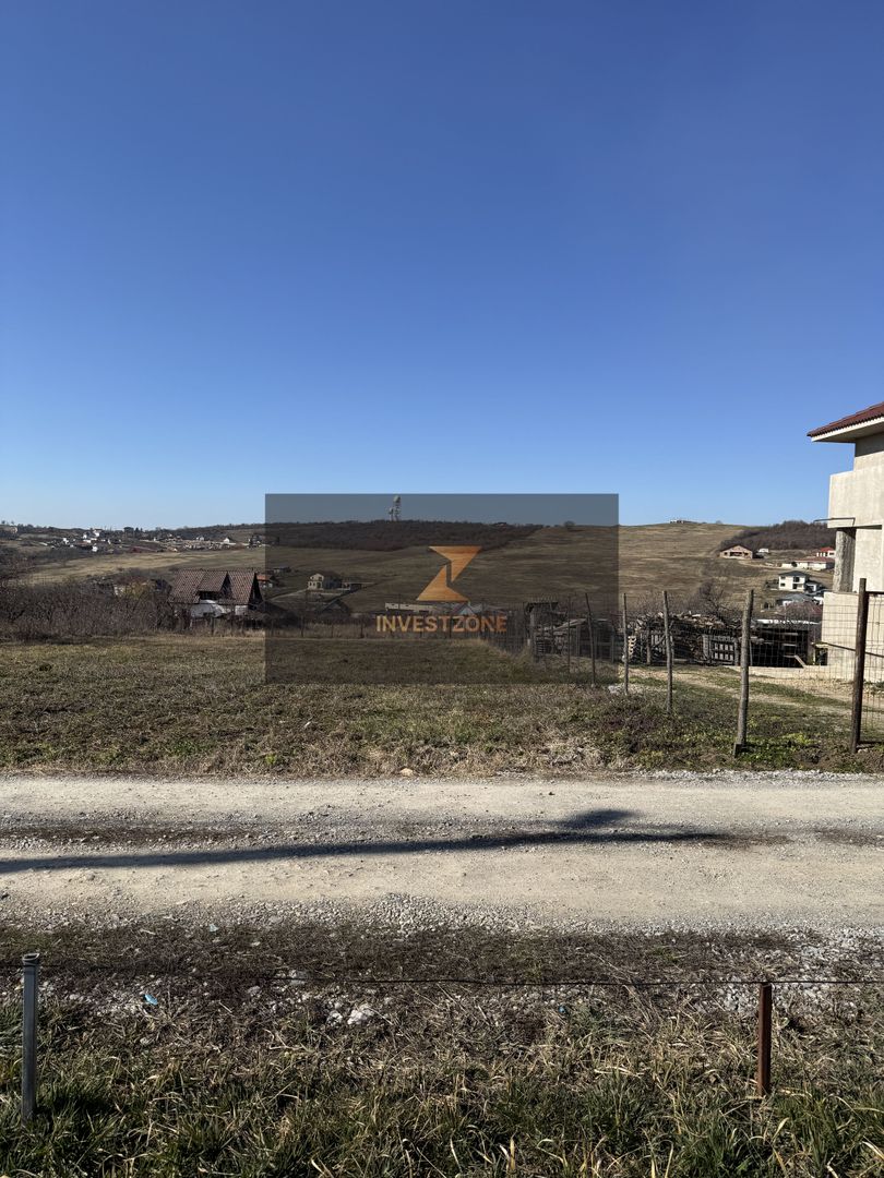 Teren intravilan Săldăbagiu De Munte - Poză 4