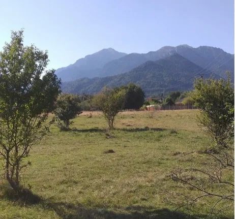 Teren intravilan imprejmuit pe o suprafata de 23.200mp, Rasnov, Brasov - Poză 6