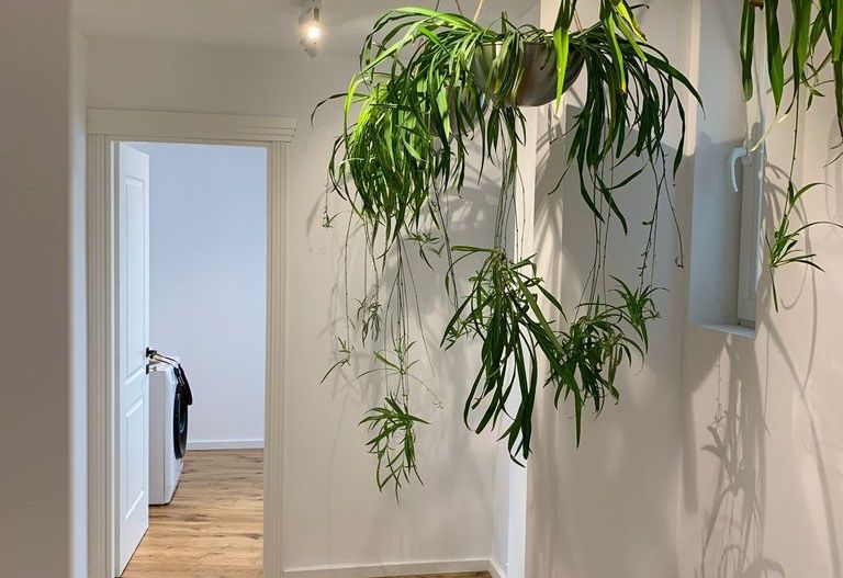 De vanzare Apartament tip Penthouse 4 camere, cismigiu, ultracentral - Poză 10