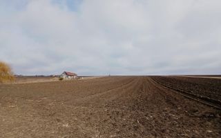 Teren Moara, Suceava I 77 ARI I Preț 2.500 euro/ar - Poză 1