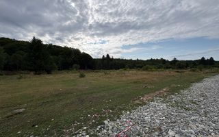 Teren intravilan de vanzare I 1990 mp I Valea Avrigului – lângă Cabana Aris - Poză 7