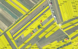 TARTASESTI-GULIA , TEREN CONSTRUCTII 8100 MP! - Poză 8