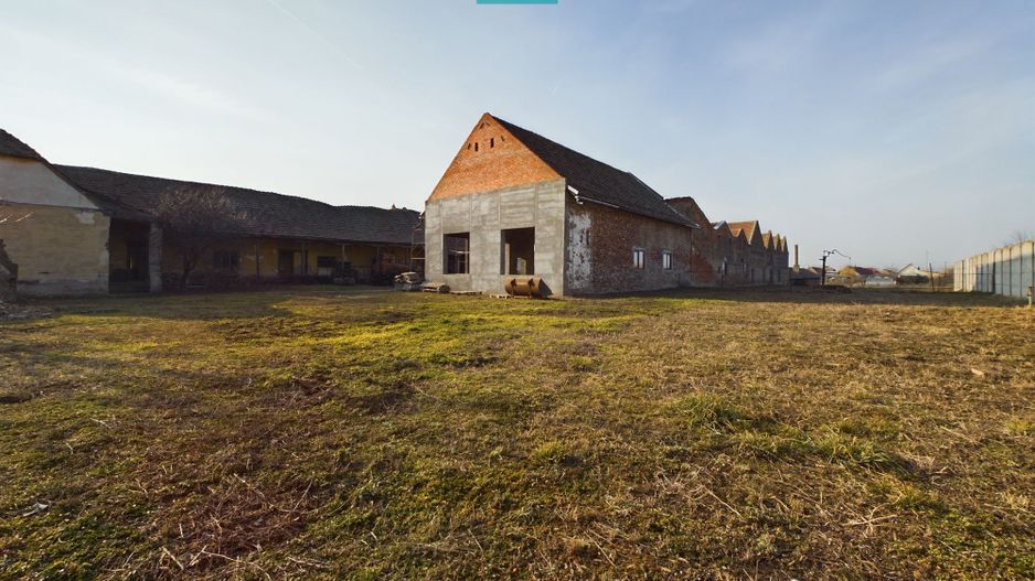 Teren și hale pe calea Aradului în Periam - Poză 4